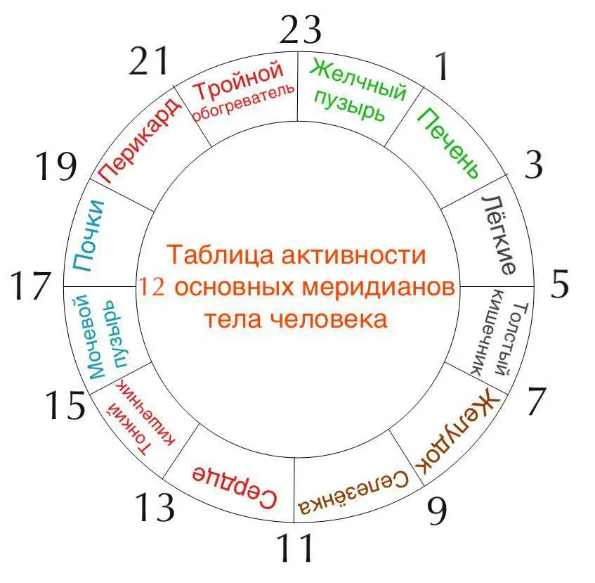 Китайские органные часы