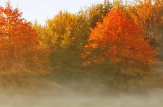 Новолуние 13.11.2023 - Солнце в Скорпионе / Луна в Скорпионе