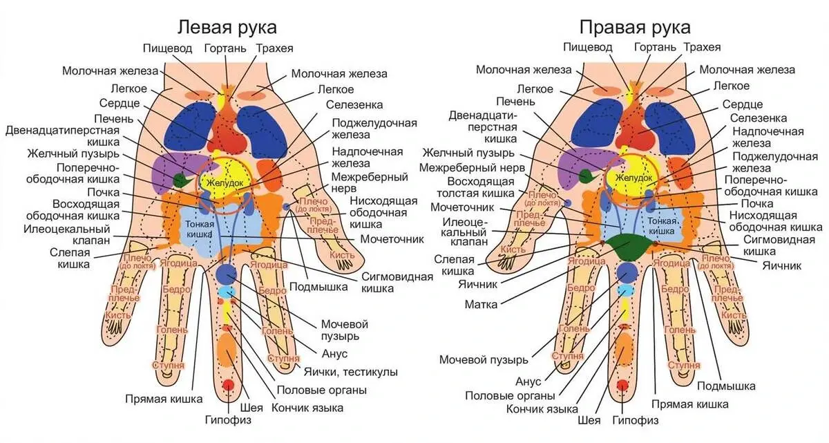 Рефлексотерапия рук