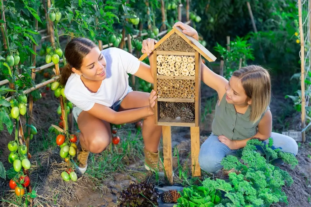Постройте свой собственный отель для насекомых - как привлечь диких животных в свой сад